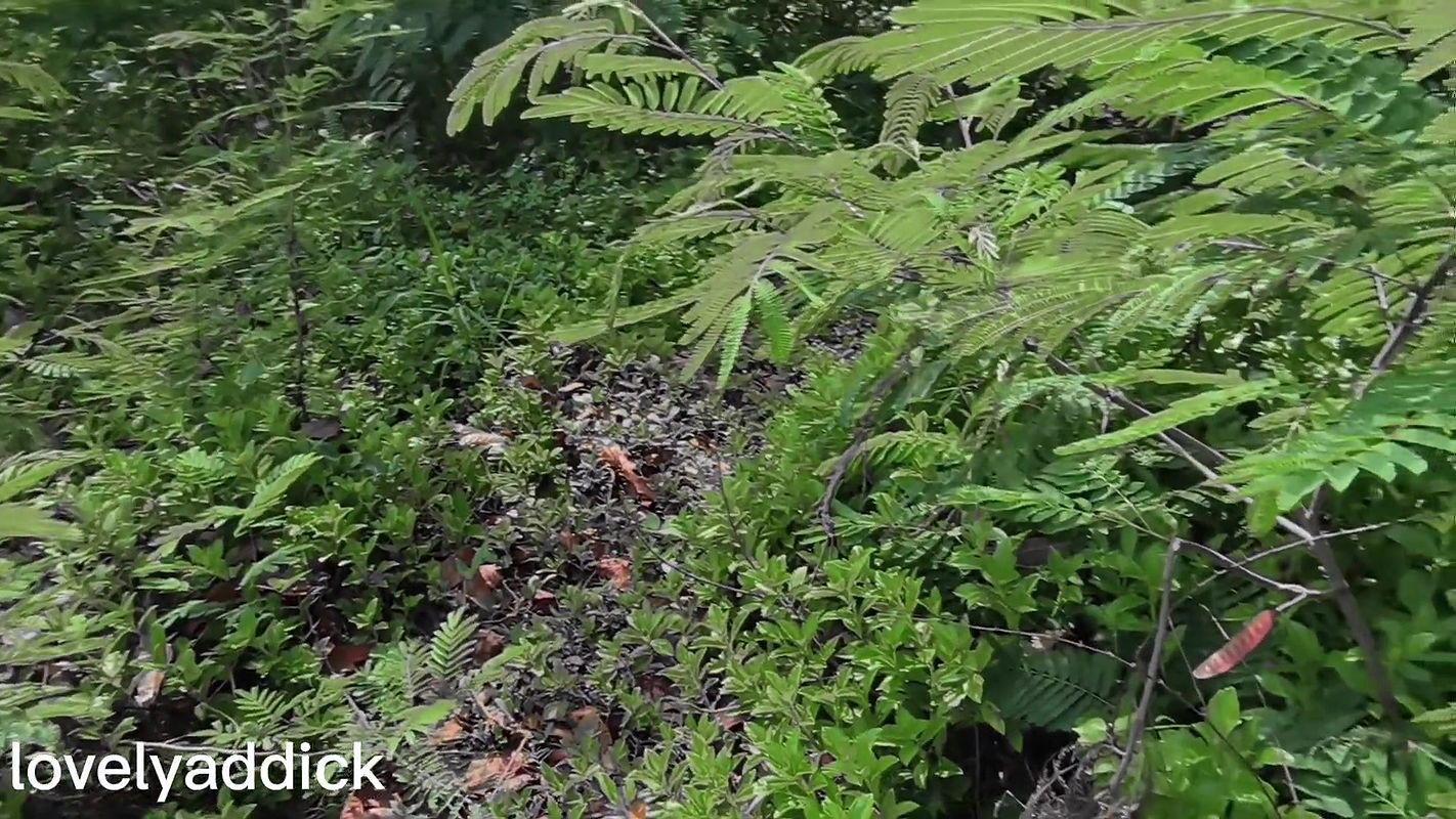 fitri kencing lagi. Outdoor Piss