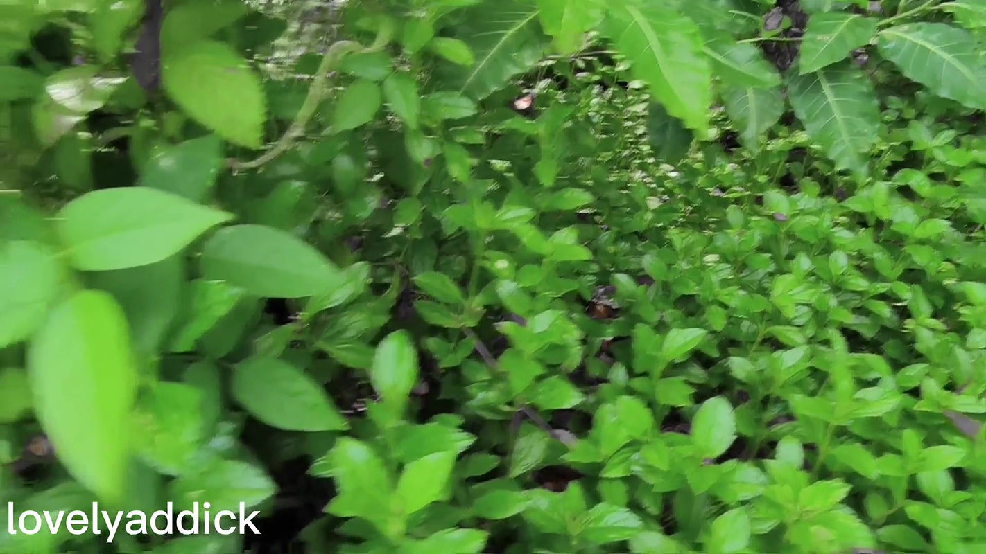 fitri kencing lagi. Outdoor Piss