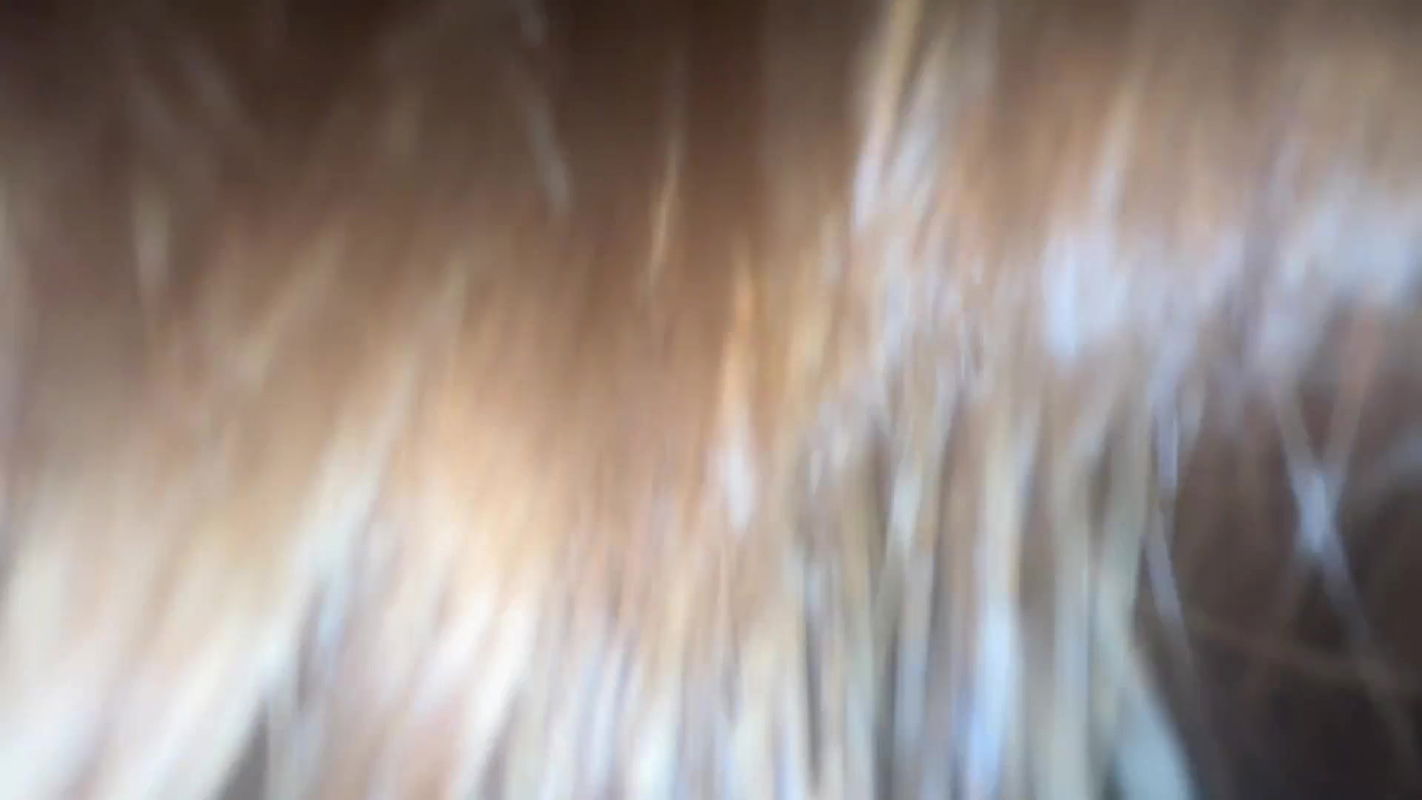 Pinay Booking, Student needs Graduation fee