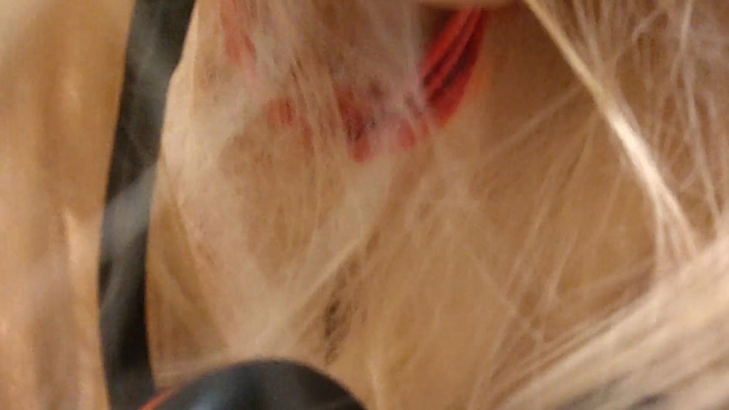 POV Dogstyle the wife of your bestfriend