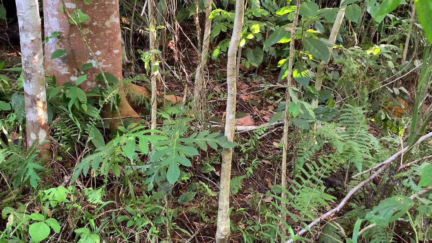 Quick sex with Girlfriend