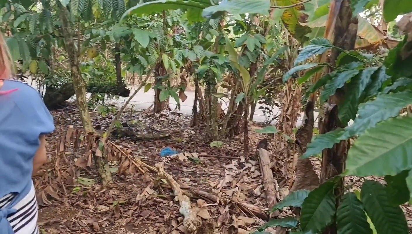 Risky public sex,near in public road, street fucked by strangers