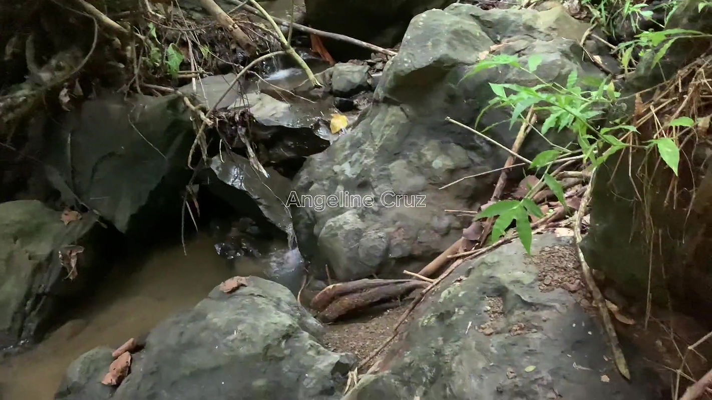 Rubbing my Cock On my Girlfriend Pussy – AngelineCruz