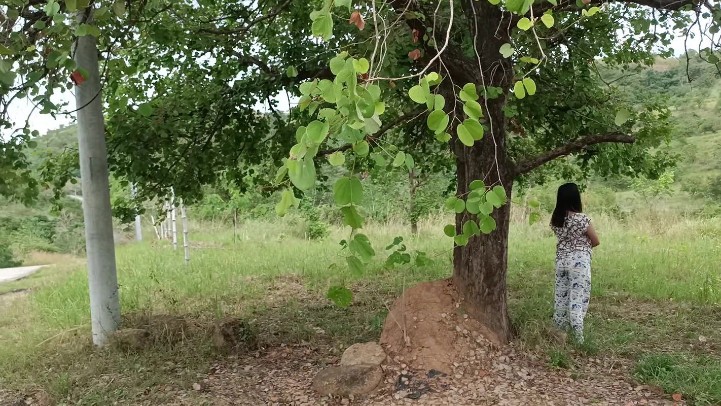 STEPBRO AND I WAS LOOKING FOR A PUBLIC PLACE TO FUCK AWAY FROM HOME