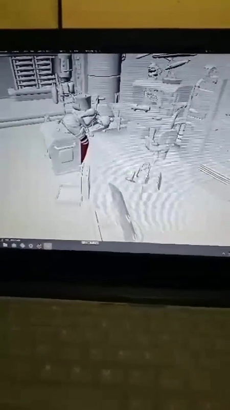 Verification videos of animation