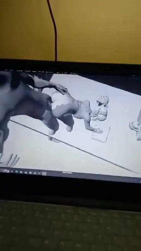 Verification videos of animation