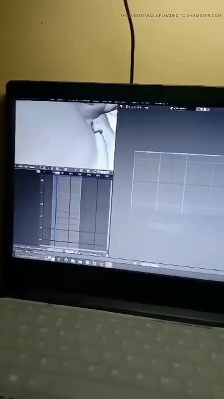 Verification videos of animation