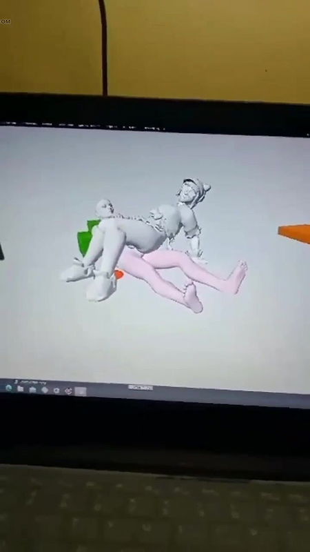 Verification videos of animation