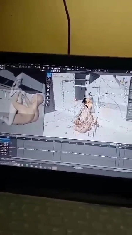 Verification videos of animation