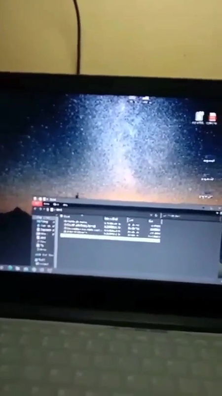 Verification videos of animation