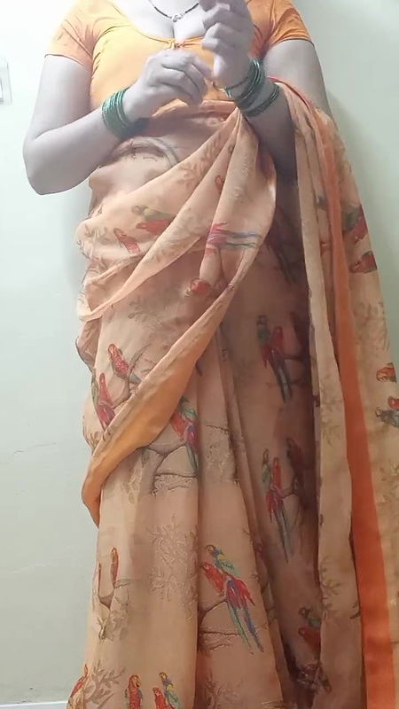 Indian Housewife In Saree