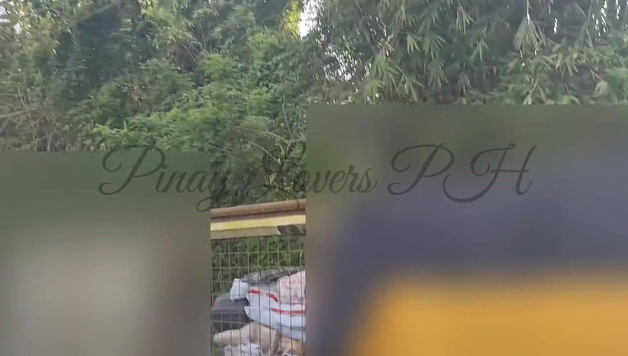 Maid Fucked by Her Boss Almost Caught Outdoor SexPinay Viral