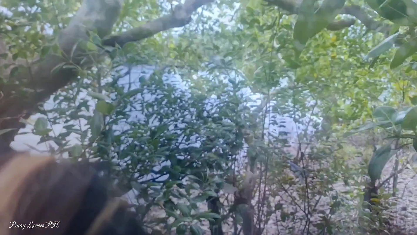 Asian Pinay Scandal Trending