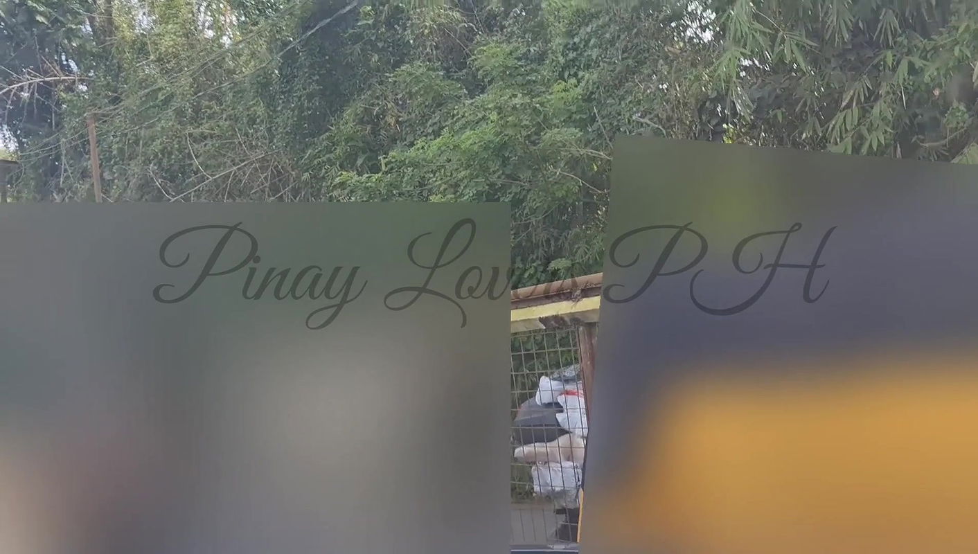 Maid Fucked by Her Boss Almost Caught Outdoor Sexpinay Viral