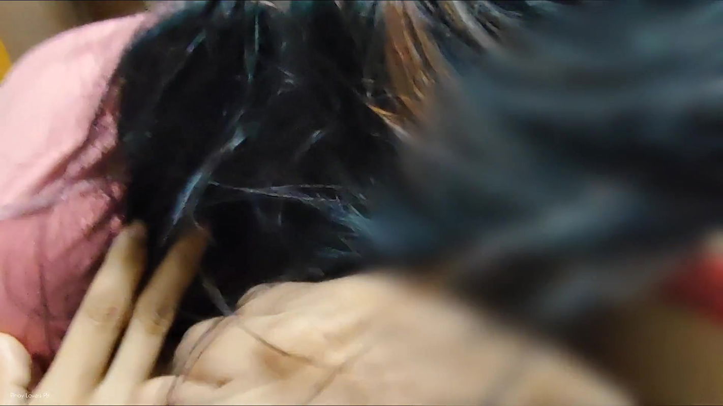 Stepsister Caught Me Jerking, She Gives Me a Blowjob Till Cum