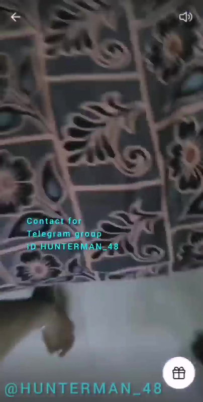 Tom___Jerry_Tamil_Cpl_Fucking_On_Tango tango show