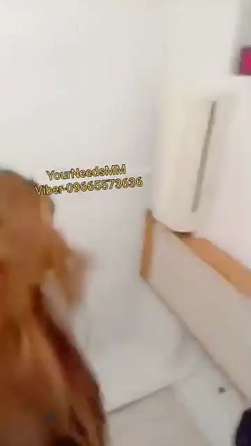 Myd burma rnd tg collection – 44