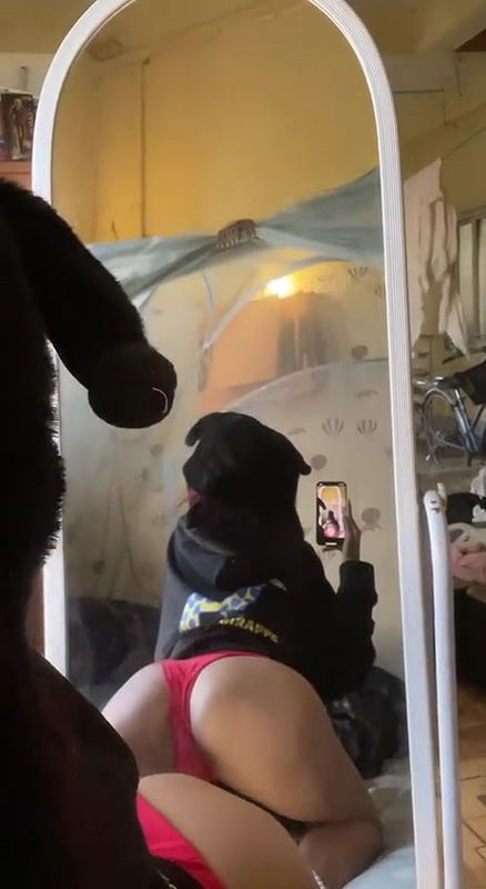 Myd burma rnd tg collection – 163