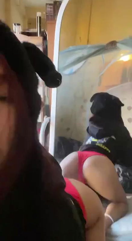 Myd burma rnd tg collection – 163