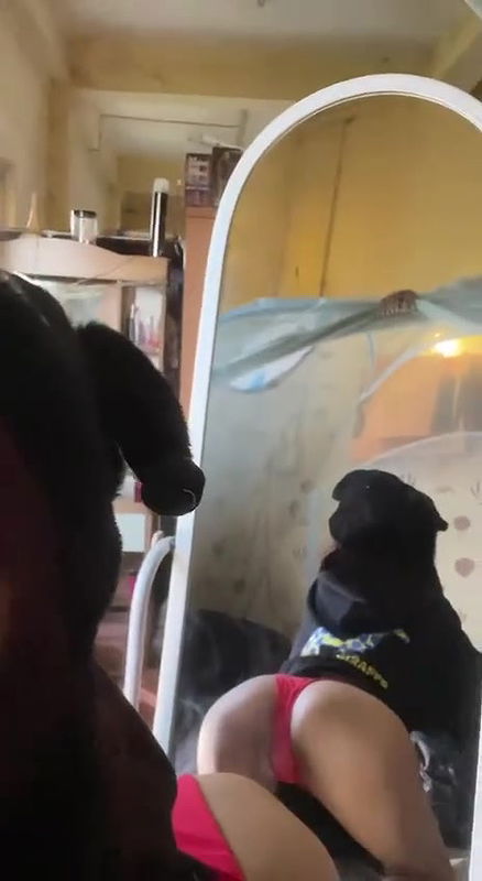 Myd burma rnd tg collection – 163