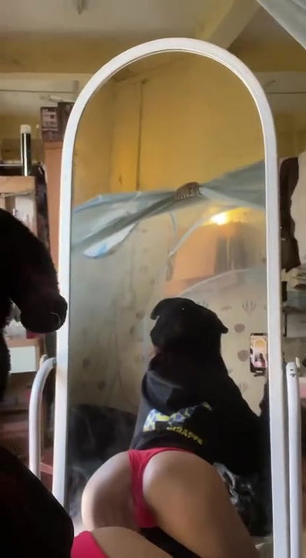 Myd burma rnd tg collection – 163