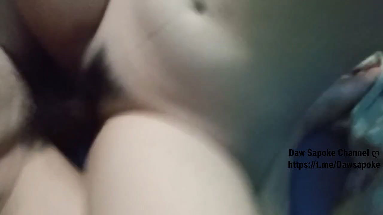 Myd burma rnd tg collection – 119