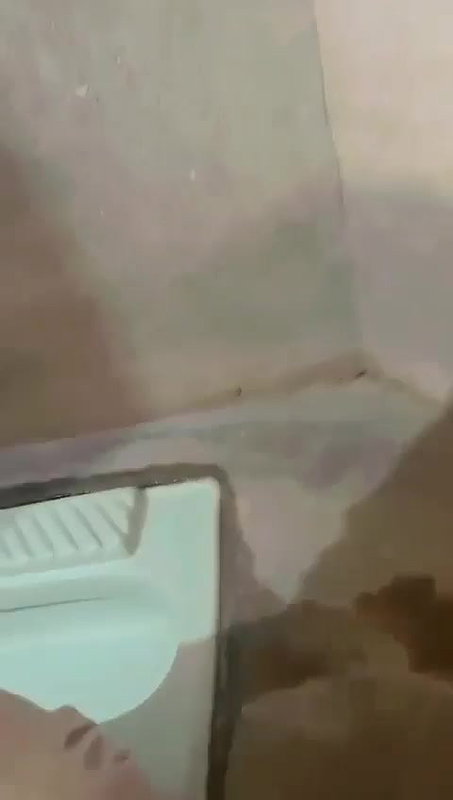 Horny Paki Lover Fucking In Bathroom 4 Videos Update 15