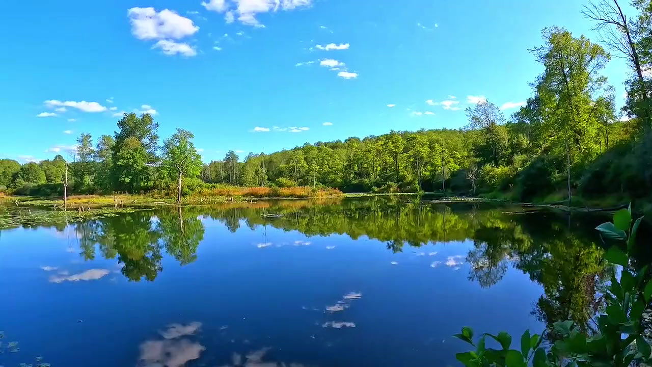 💀Jungle vali bhabhi College friend ke sath savita bhabhi ne jamkar chudai karwaya aur apne chut ka pani nikali