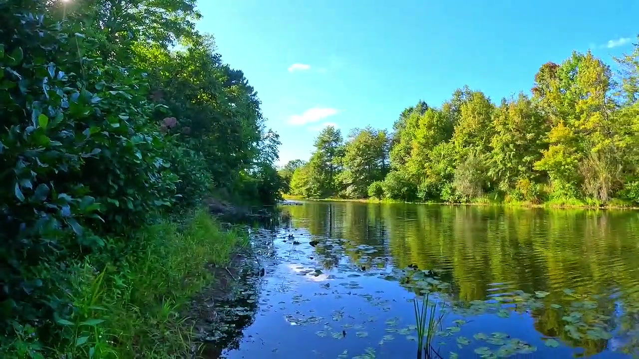 💀Jungle vali bhabhi College friend ke sath savita bhabhi ne jamkar chudai karwaya aur apne chut ka pani nikali