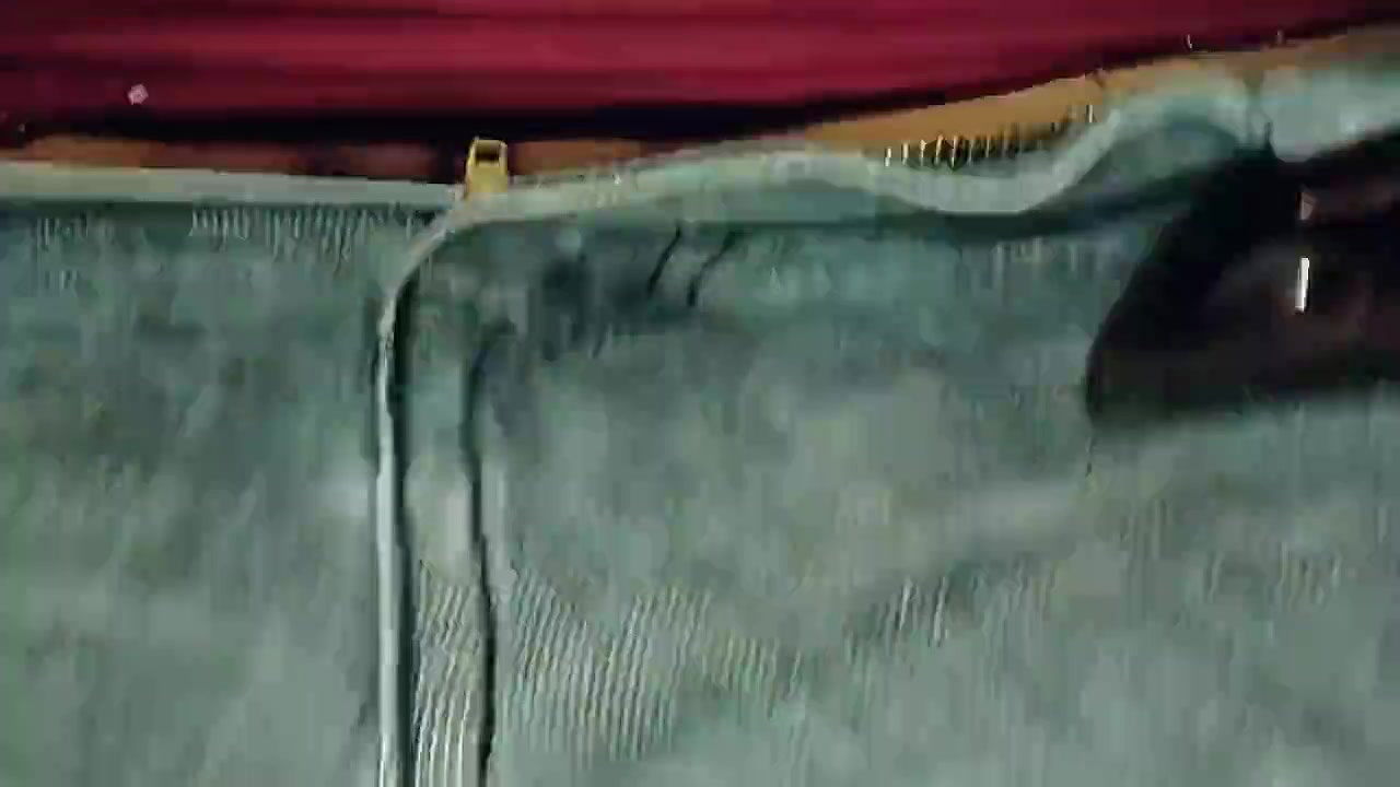 Fucking my gf in dogy style with different anhle