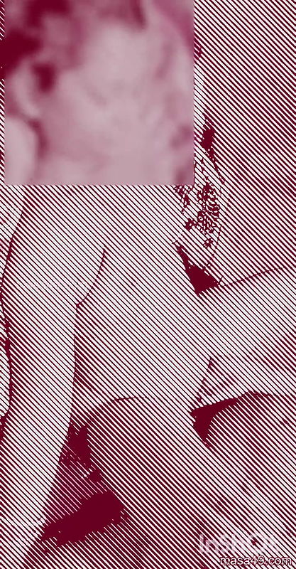 Know desi Bhojpuri in Hindi