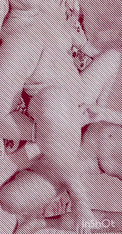 Know desi Bhojpuri in Hindi