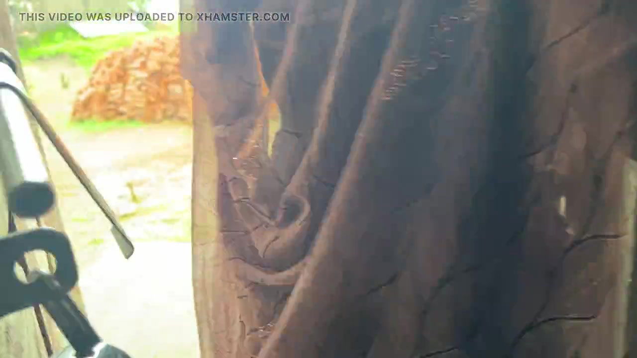 Sister-in-law of the village