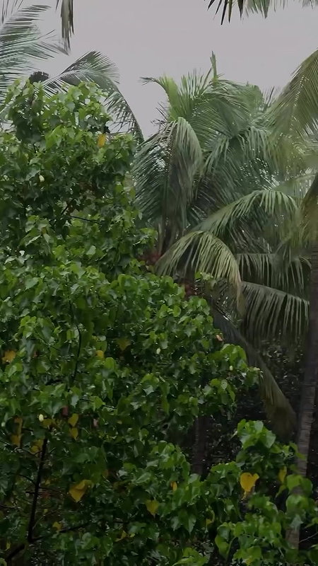 BOLD FEMALE FATALE MEGHA SHUKLA WILD IN BACKLESS SEXY MINI DRESS2