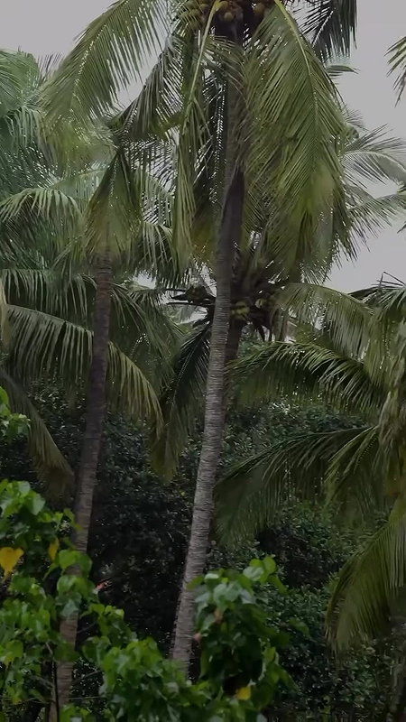 BOLD FEMALE FATALE MEGHA SHUKLA WILD IN BACKLESS SEXY MINI DRESS2