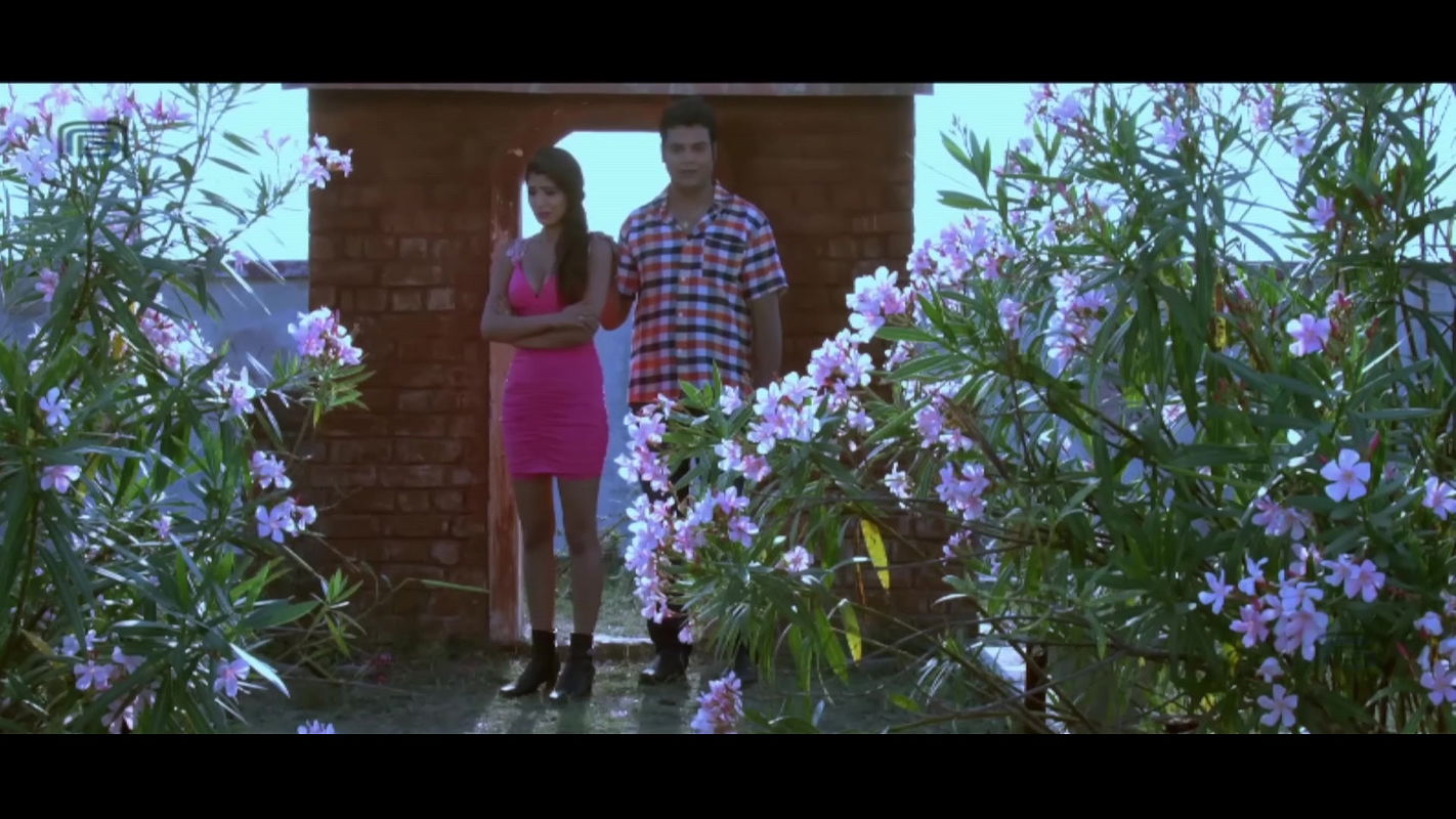 FULL MOVIE Shadi Yog Aur Kamasutra – Hindi B Grade2