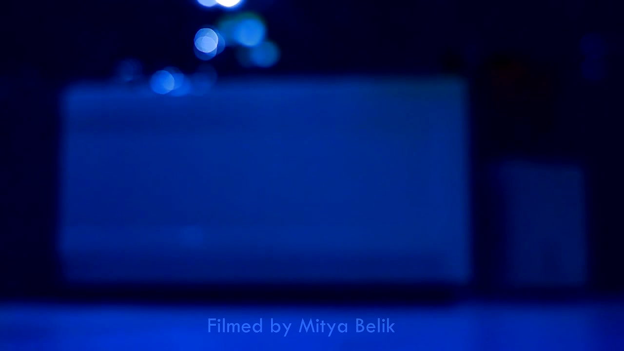 Mitya Belik – What Happened