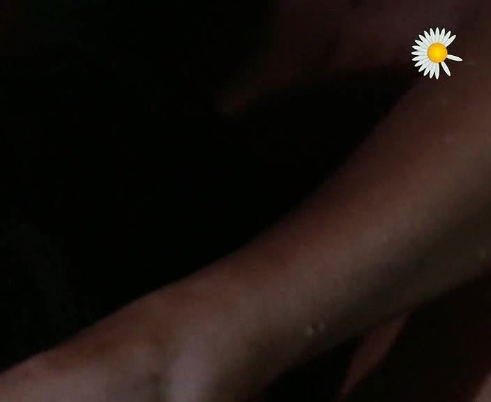 Evolution (La Scelta) (2005)  Italy  Tvrip