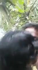 Village Bhabi Fucking In jungle