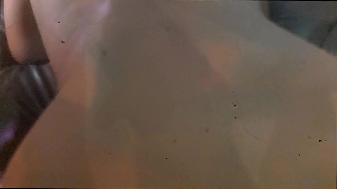 Housemaid Is My Free Use Slut While Wife Works