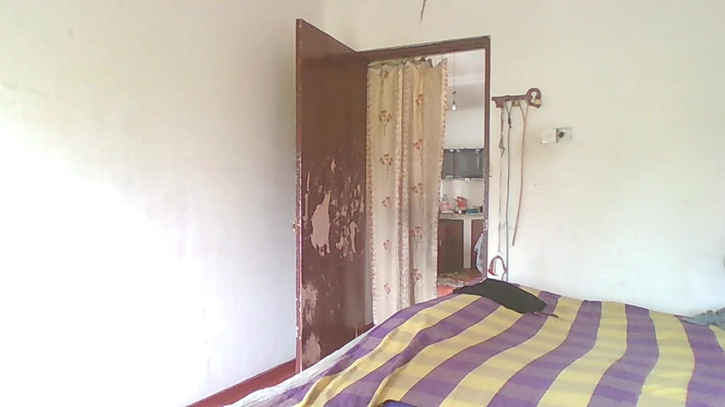 Harly Queen Gets Fuck by Joker Behind the Scenes