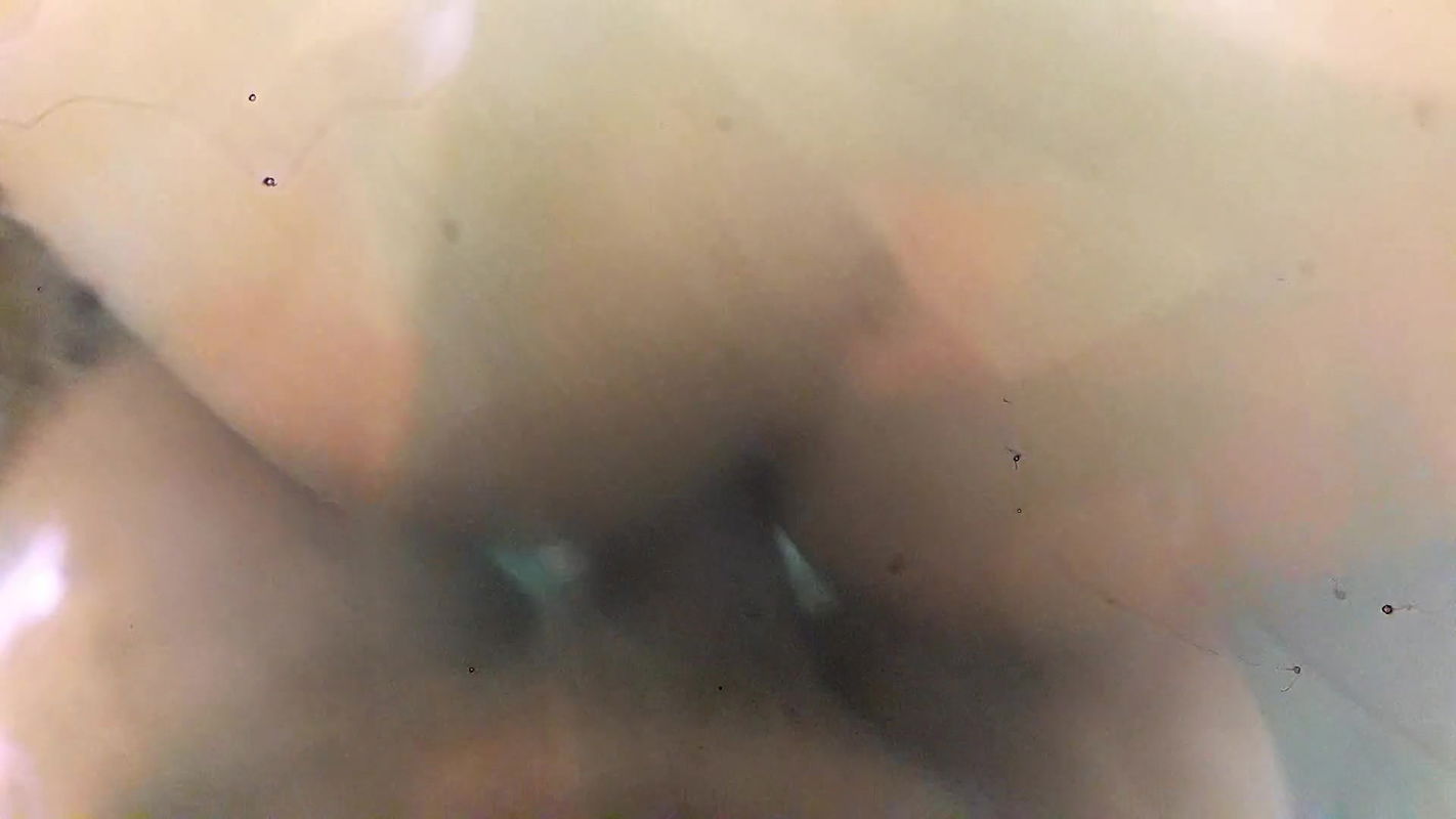 Stepmom Afterparty Fun After Home Arrival