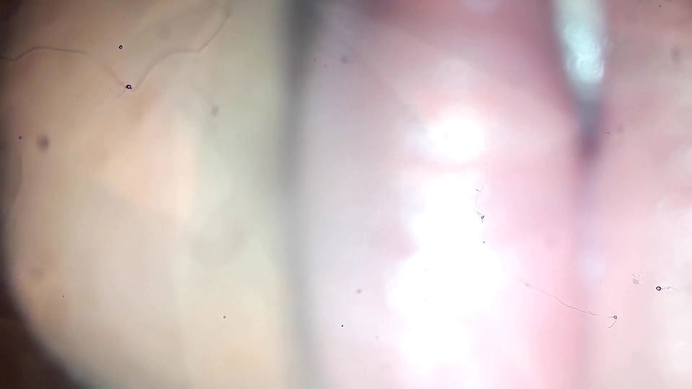 Horney Stepmum Part 2