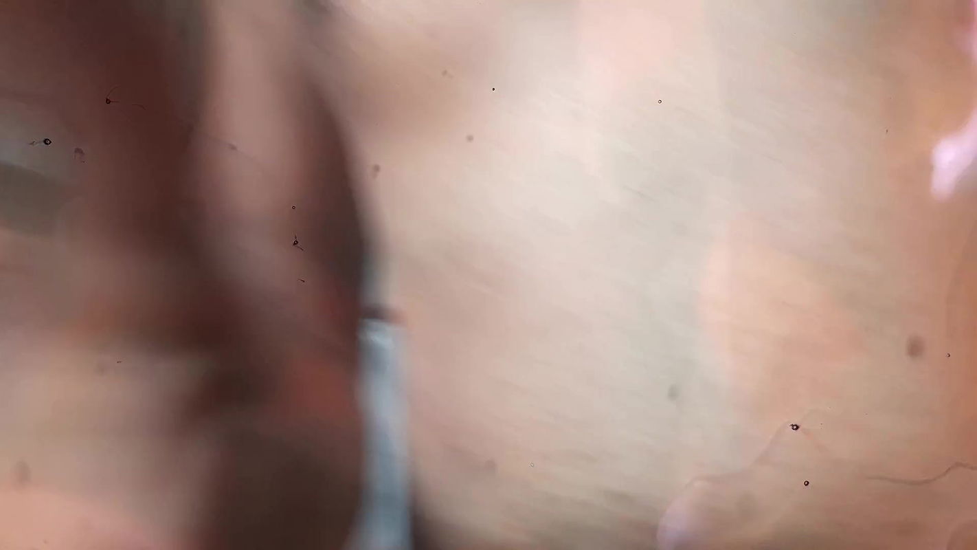 My Step-mother’s Beautician Came Looking for Cosmetics