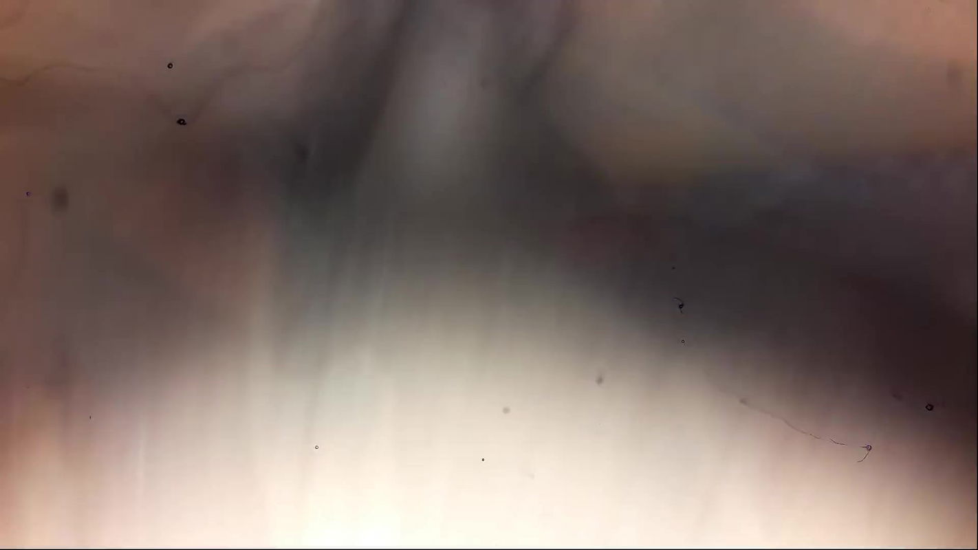 Secret Sex Tape of Tina and Donj