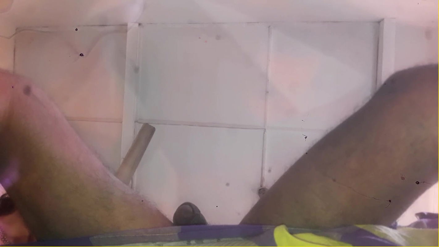 Jaanu’s Big Black Cock Is Hanging Like a Meat Pole Served with