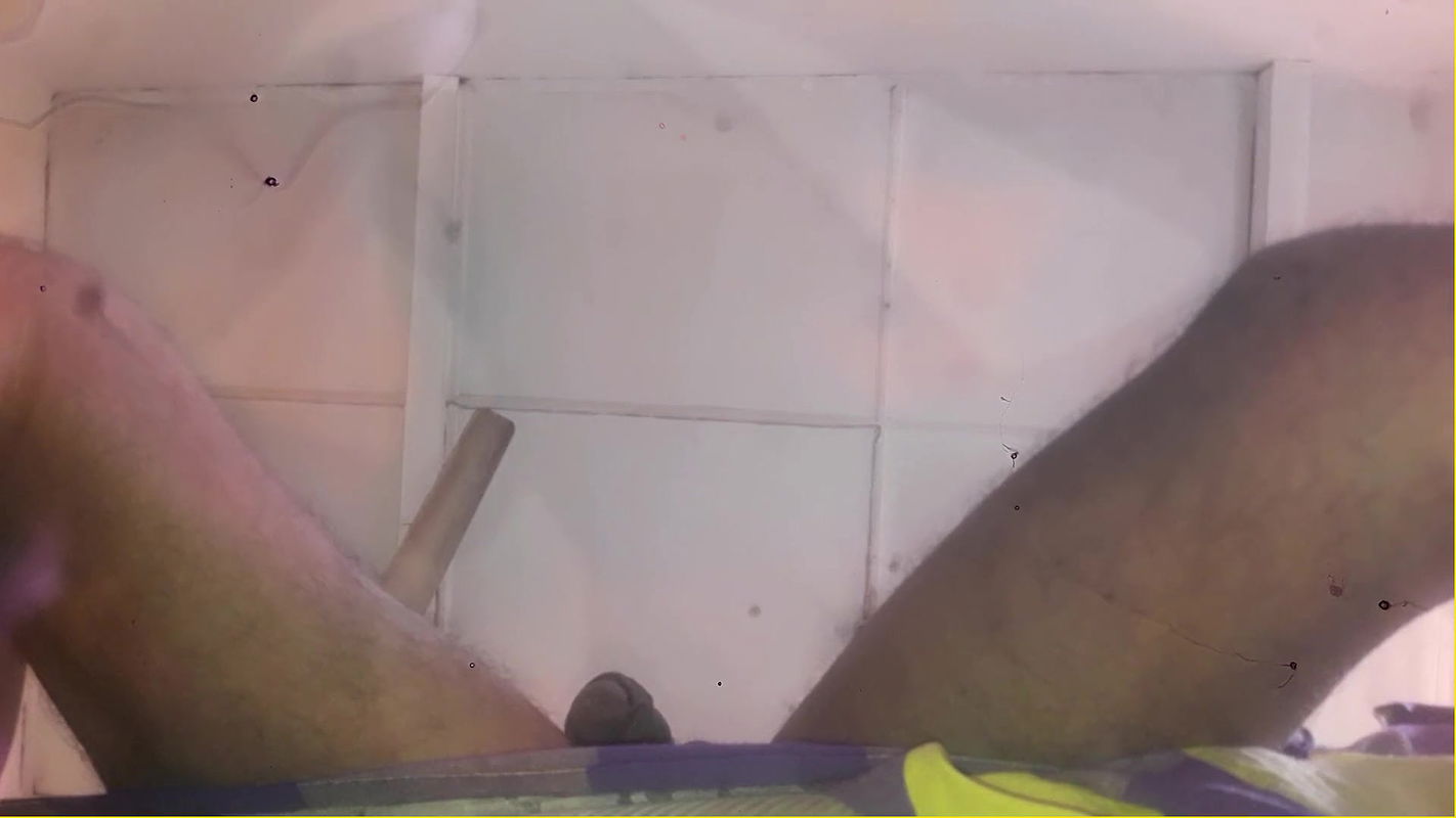 Jaanu’s Big Black Cock Is Hanging Like a Meat Pole Served with