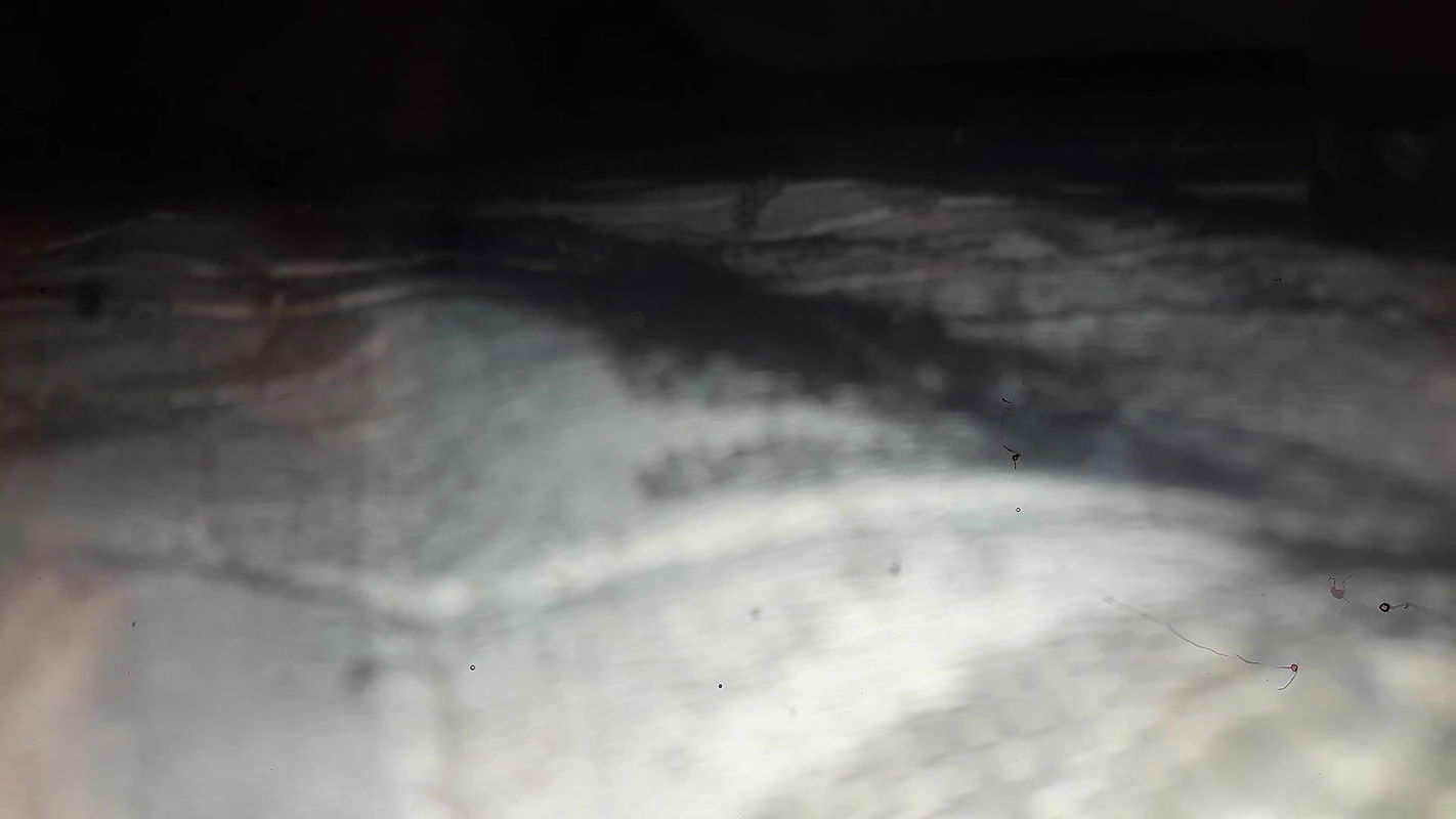 My Naibour Teacher Uses Me as a Boy Toy