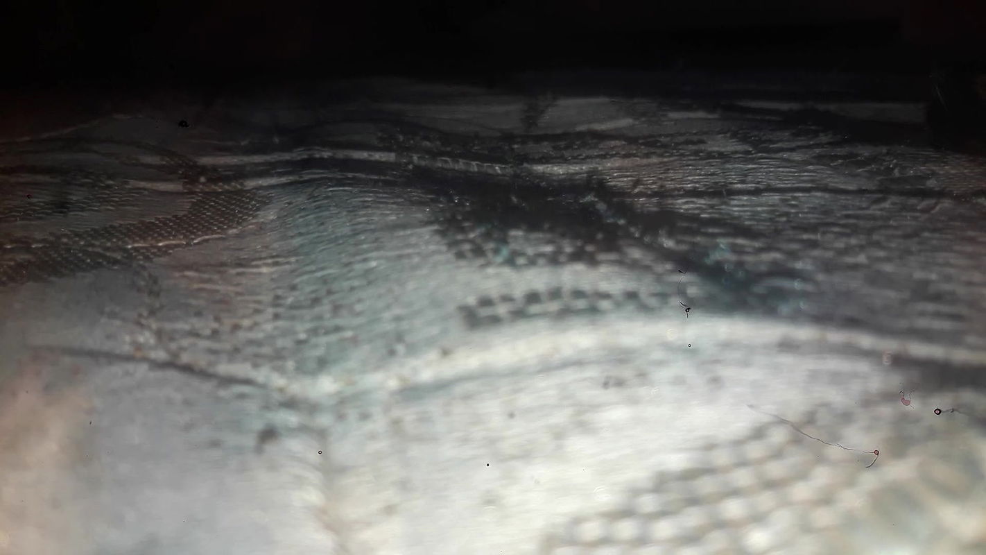 My Naibour Teacher Uses Me as a Boy Toy