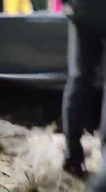 Myd nude dance videos collection – 10